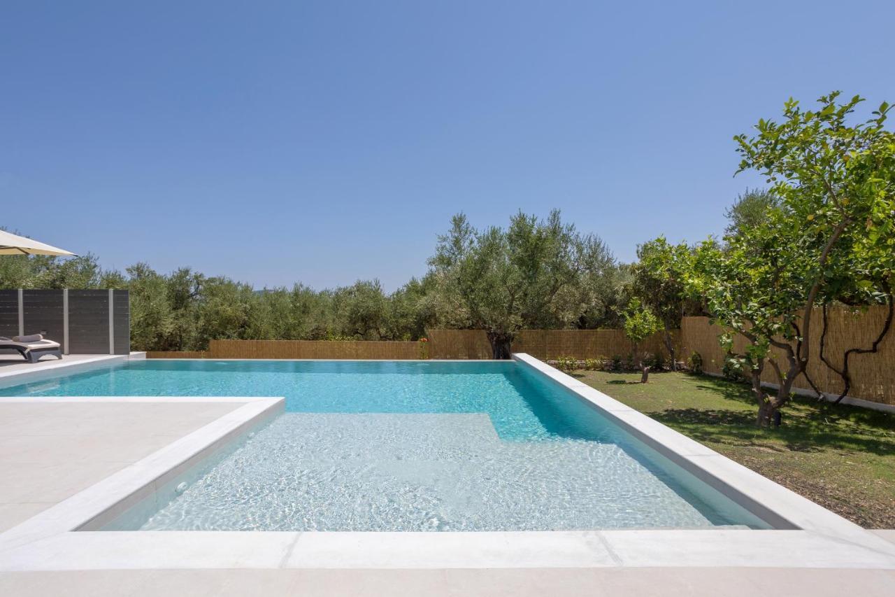 Villa Olivea Kalpaki  外观 照片