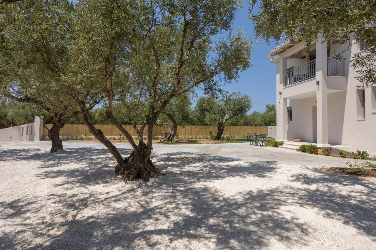 Villa Olivea Kalpaki  外观 照片
