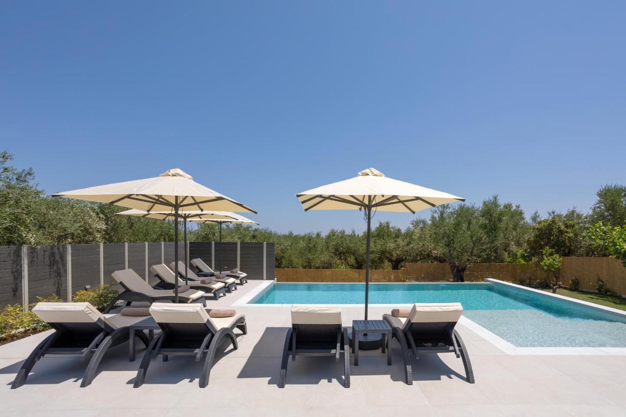 Villa Olivea Kalpaki  外观 照片