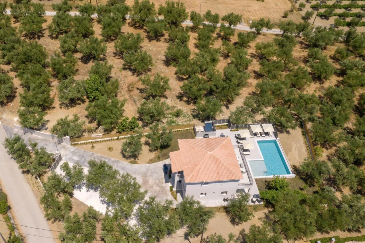 Villa Olivea Kalpaki  外观 照片